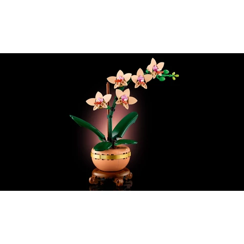 Kép 7/9 - LEGO® Botanicals - Mini orchidea