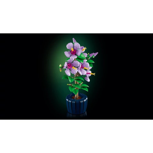 Kép 9/9 - LEGO® Botanicals - Hibiszkusz