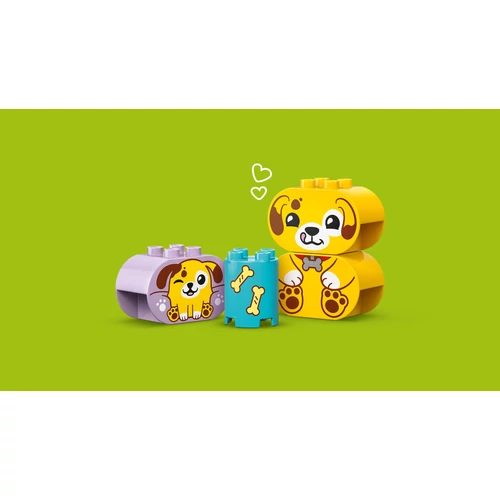 Kép 9/9 - LEGO® DUPLO® - Formaválogató: Kutyusház