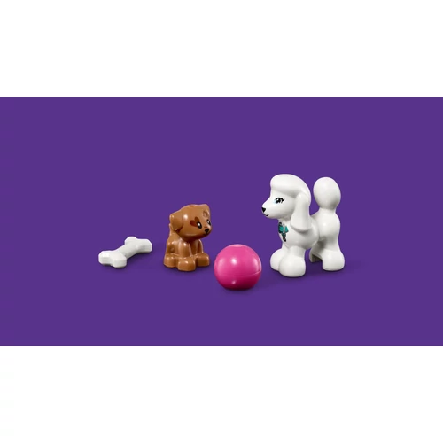 Kép 7/9 - LEGO Friends - Kutyus napközi
