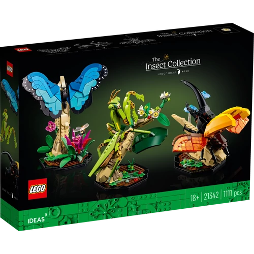 Kép 10/11 - LEGO® Ideas - A rovargyűjtemény