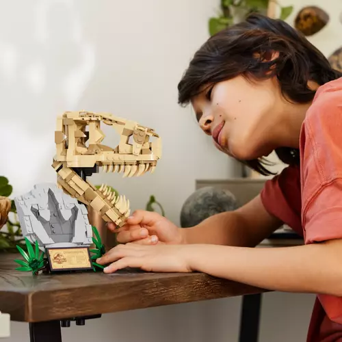 Kép 5/9 - LEGO® Jurassic World - Dinoszaurusz maradványok: T-Rex kopon