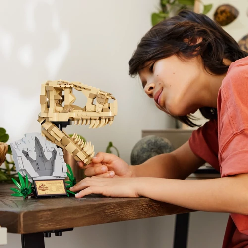 Kép 5/9 - LEGO® Jurassic World - Dinoszaurusz maradványok: T-Rex koponya